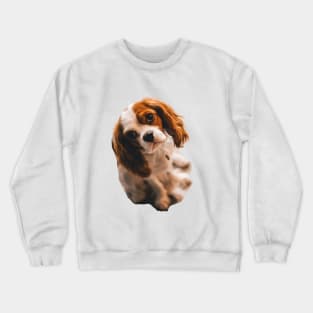 Cocker spaniel Crewneck Sweatshirt